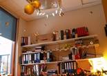 P1011508 (1024x768).jpg (92673 bytes)